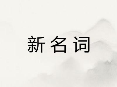 新名词