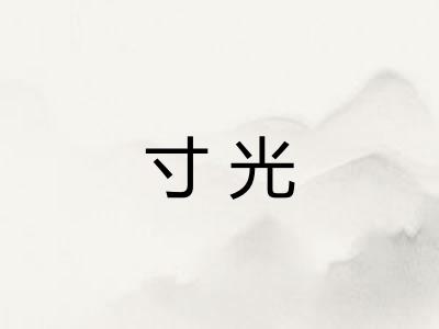 寸光
