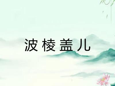 波棱盖儿