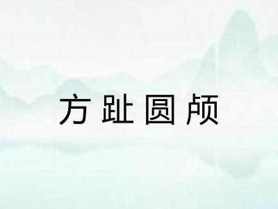 方趾圆颅
