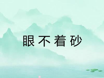 眼不着砂