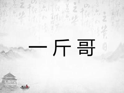 一斤哥
