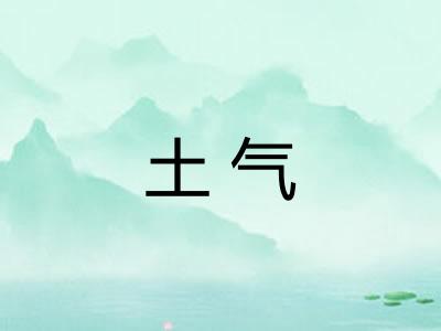 土气