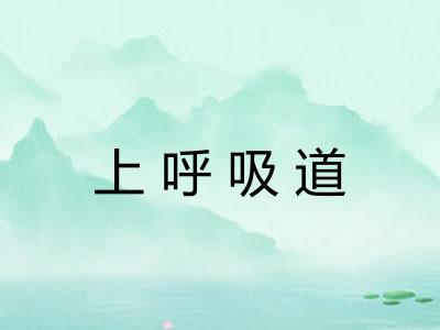 上呼吸道