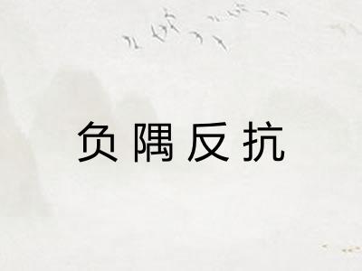 负隅反抗