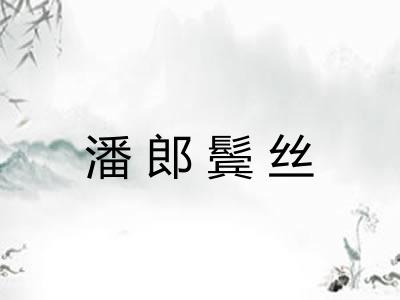 潘郎鬓丝