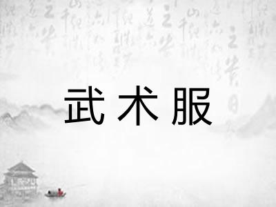 武术服