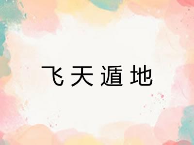 飞天遁地