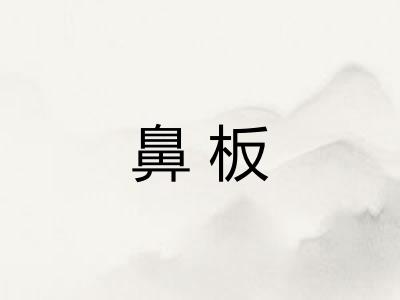 鼻板