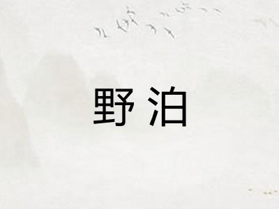 野泊