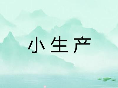 小生产