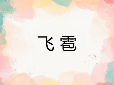 飞雹
