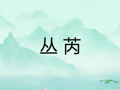 丛芮