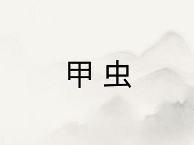 甲虫