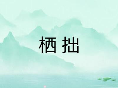 栖拙