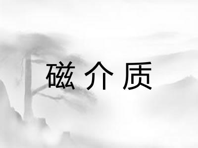 磁介质