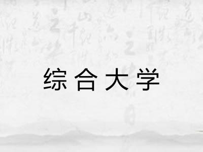 综合大学