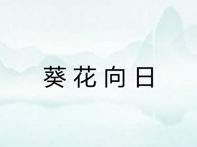 葵花向日