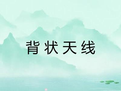 背状天线