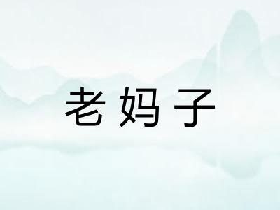 老妈子
