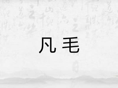凡毛