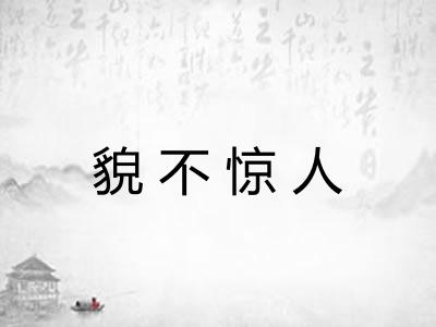 貌不惊人