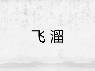 飞溜