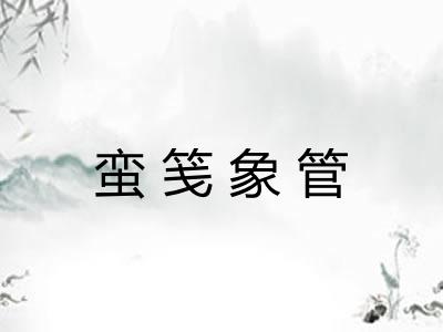 蛮笺象管