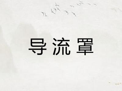 导流罩