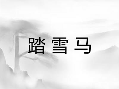 踏雪马