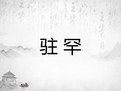 驻罕