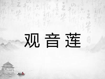 观音莲