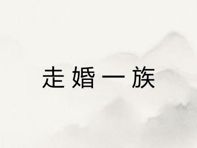 走婚一族