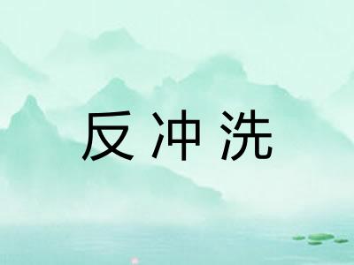 反冲洗