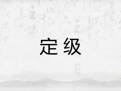 定级