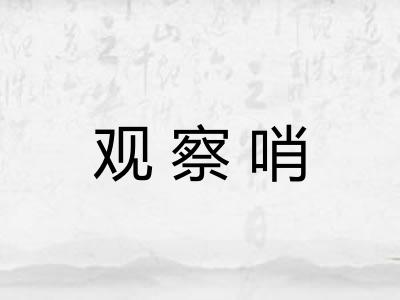 观察哨