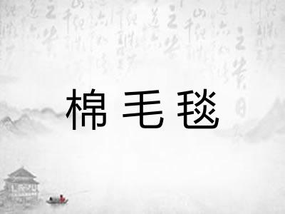 棉毛毯