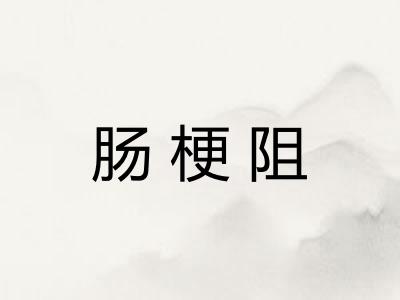 肠梗阻
