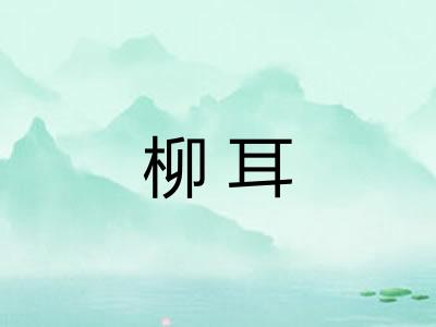 柳耳