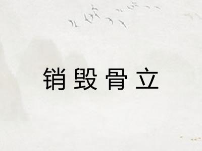 销毁骨立