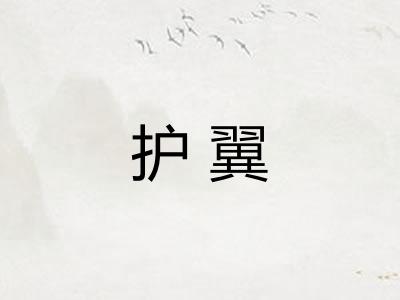 护翼