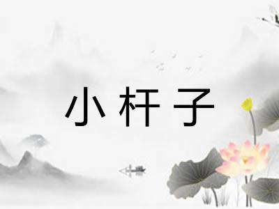 小杆子