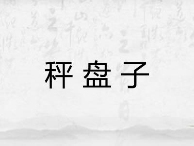 秤盘子