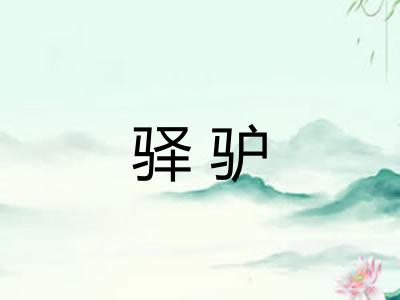 驿驴