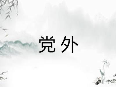 党外