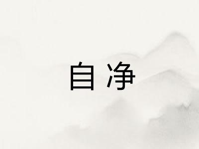 自净