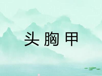 头胸甲