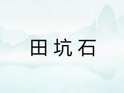 田坑石