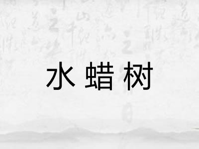 水蜡树