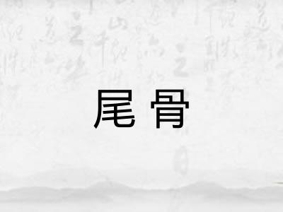 尾骨